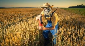 LA DIFFERENZA TRA IL GRANO ITALIANO E QUELLO STRANIERO ESISTE!