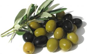 OLIVE TUNISINE: UNA PICCOLA VITTORIA