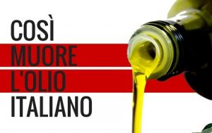 OLIO TUNISINO: IL PD VOTA L’INVASIONE!